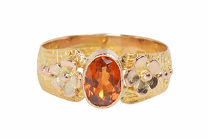 Descriptive image text