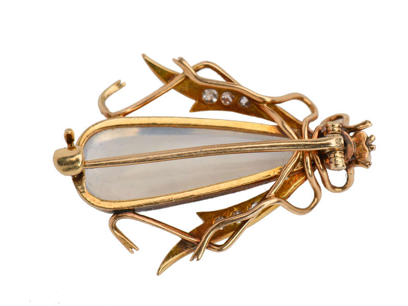 
                      
                        Antique Blue Moonstone Insect Brooch in Box
                      
                    