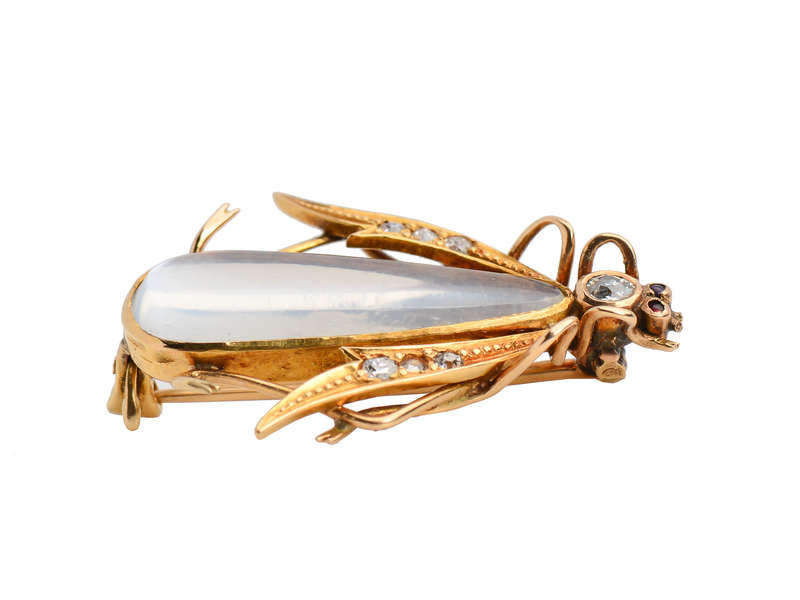 
                      
                        Antique Blue Moonstone Insect Brooch in Box
                      
                    
