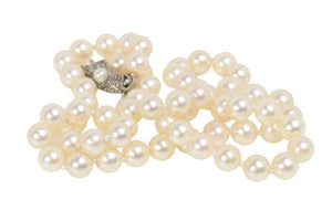 Mikimoto Strand of Cultured Pearls 16.5 Inch