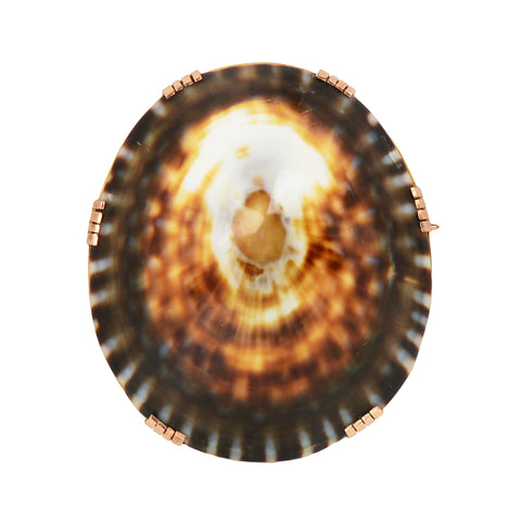 Victorian Limpet Shell Rose Gold Brooch