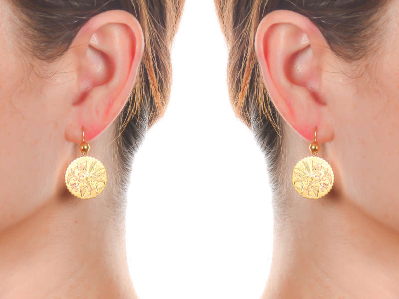 
                      
                        Victorian Three Color Gold Bird & Butterfly Earrings
                      
                    