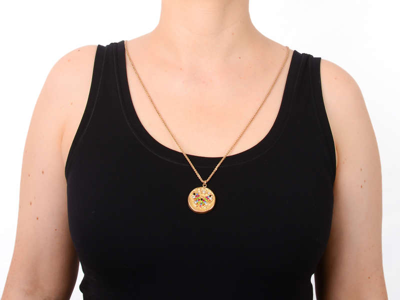 Butterfly Baby - Multicolored Paste Locket with Chain