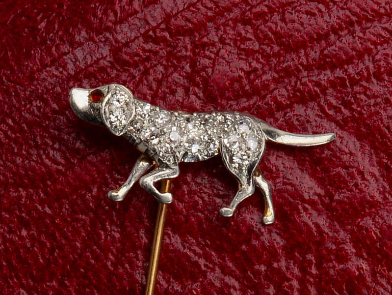 
                      
                        New Tricks - Diamond Dog Stickpin
                      
                    