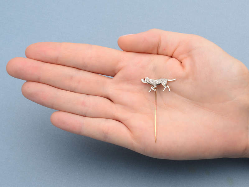 
                      
                        New Tricks - Diamond Dog Stickpin
                      
                    