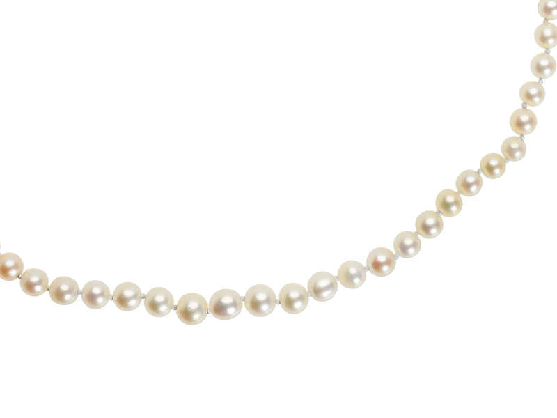 Antique Natural Saltwater Pearls of 17