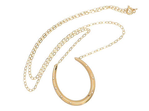 Riker Gold Horseshoe Necklace
