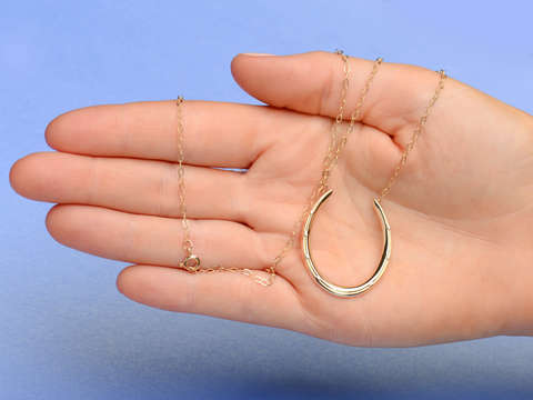 Riker Gold Horseshoe Necklace