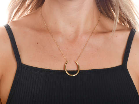Riker Gold Horseshoe Necklace