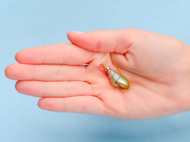 Tidal Waters - Maireeneer Shell Pendant in Gold