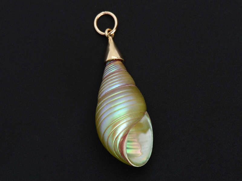 Tidal Waters - Maireeneer Shell Pendant in Gold