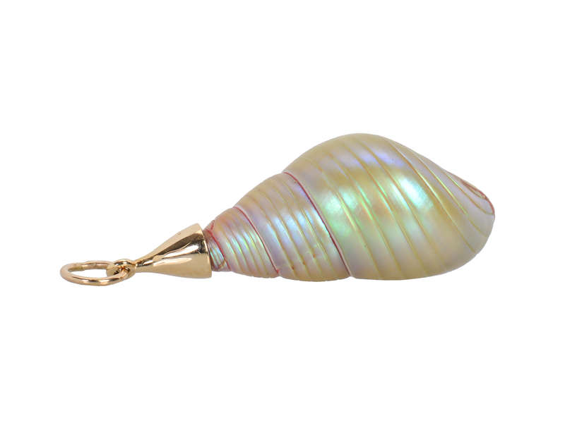 Tidal Waters - Maireeneer Shell Pendant in Gold