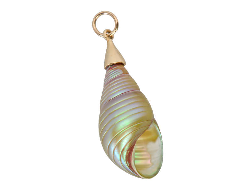 Tidal Waters - Maireeneer Shell Pendant in Gold