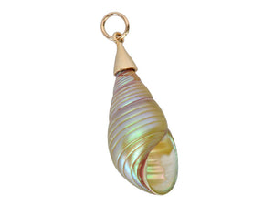 Tidal Waters - Maireeneer Shell Pendant in Gold