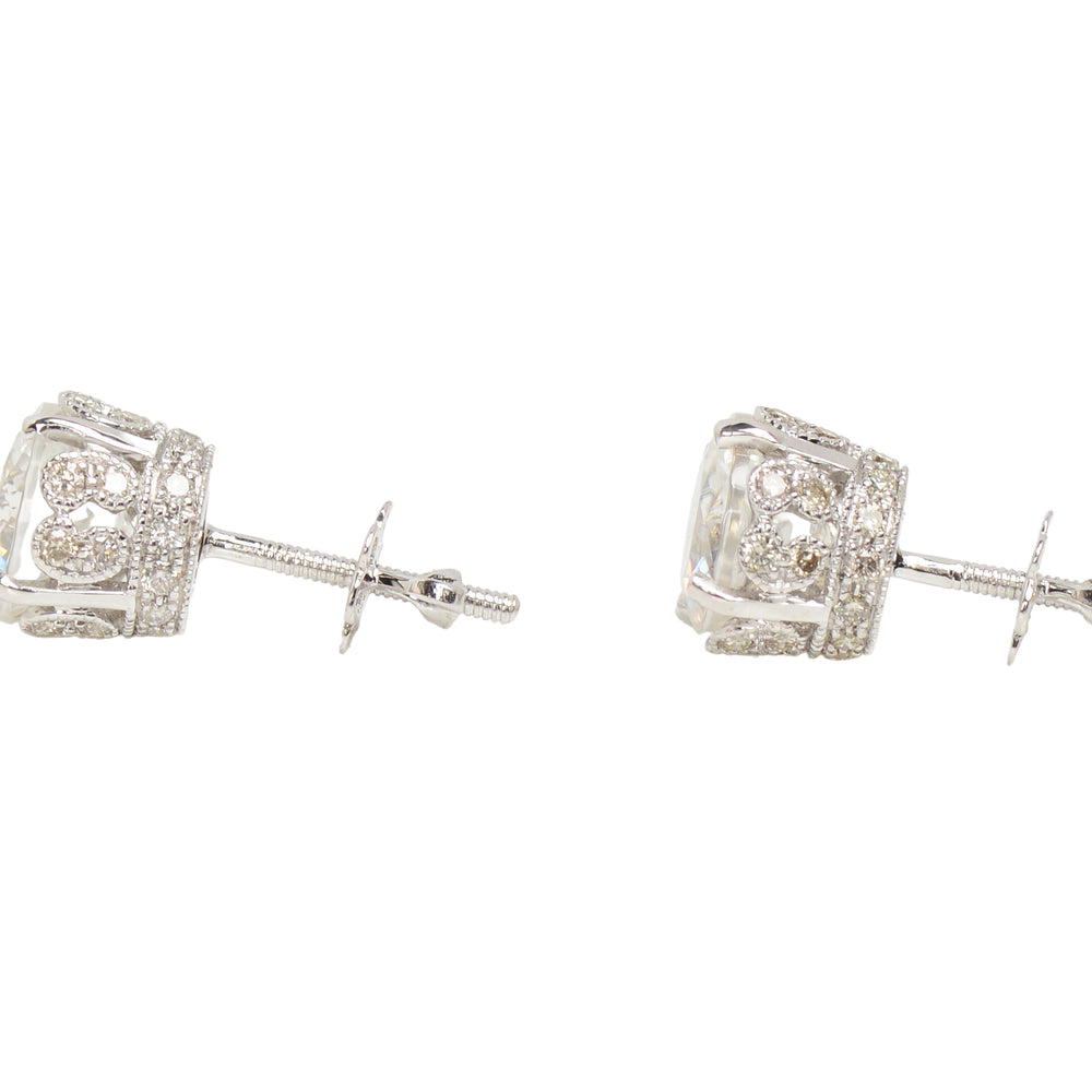
                      
                        Dreamscape White Zircon Diamond Stud Earrings
                      
                    
