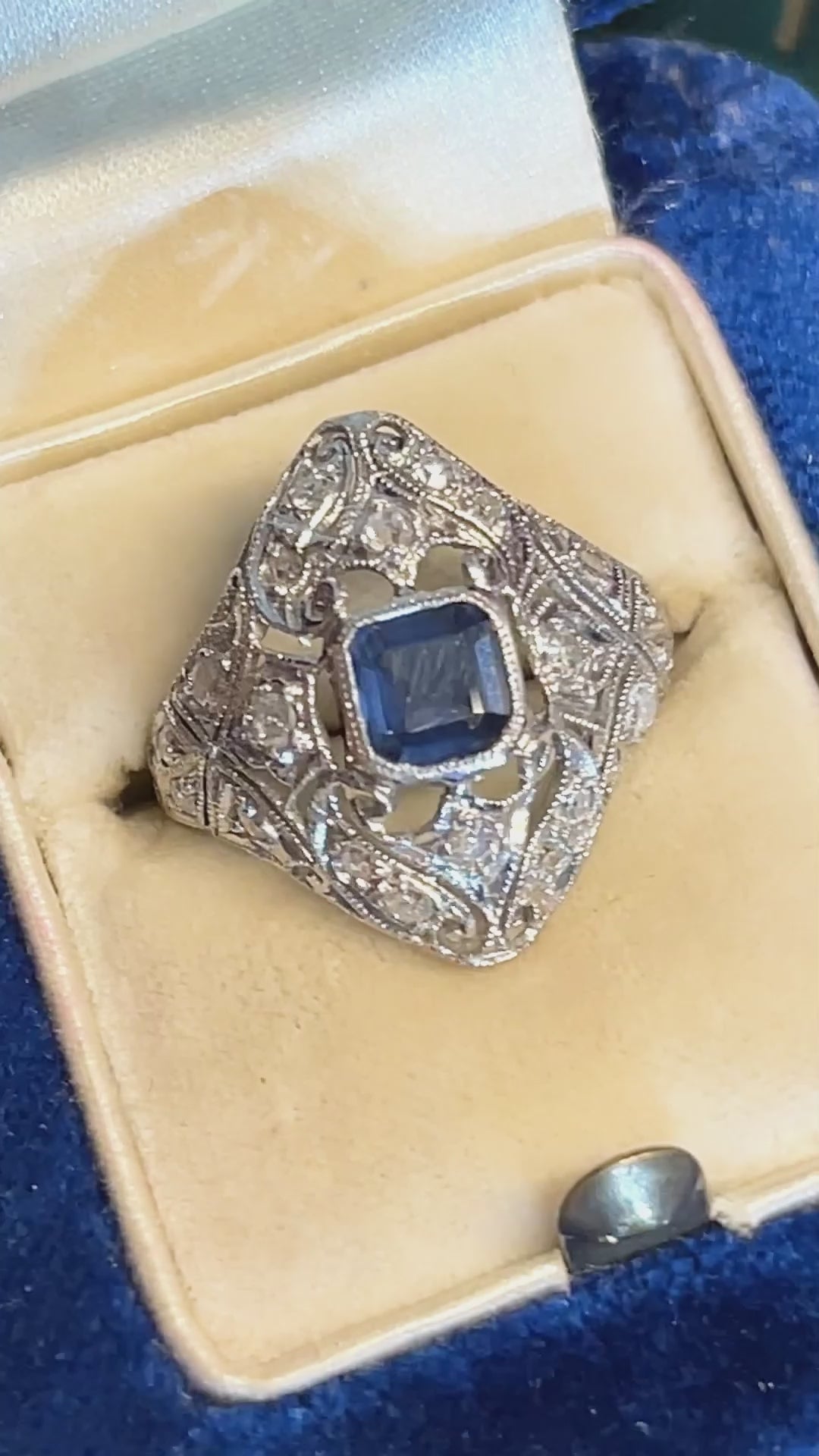 Petit Point - Sapphire Diamond Platinum Ring